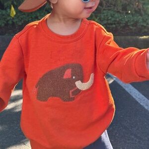 Target Christian Robinson Orange Sweatshirt